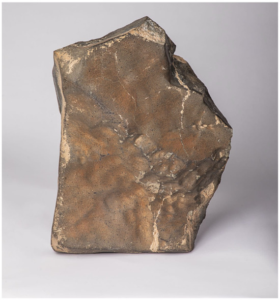 Biggest Piece of Mars Ever Found on Earth Just Sold for $5.3M — Guess Who Bought It 2 Fistful of Mars
