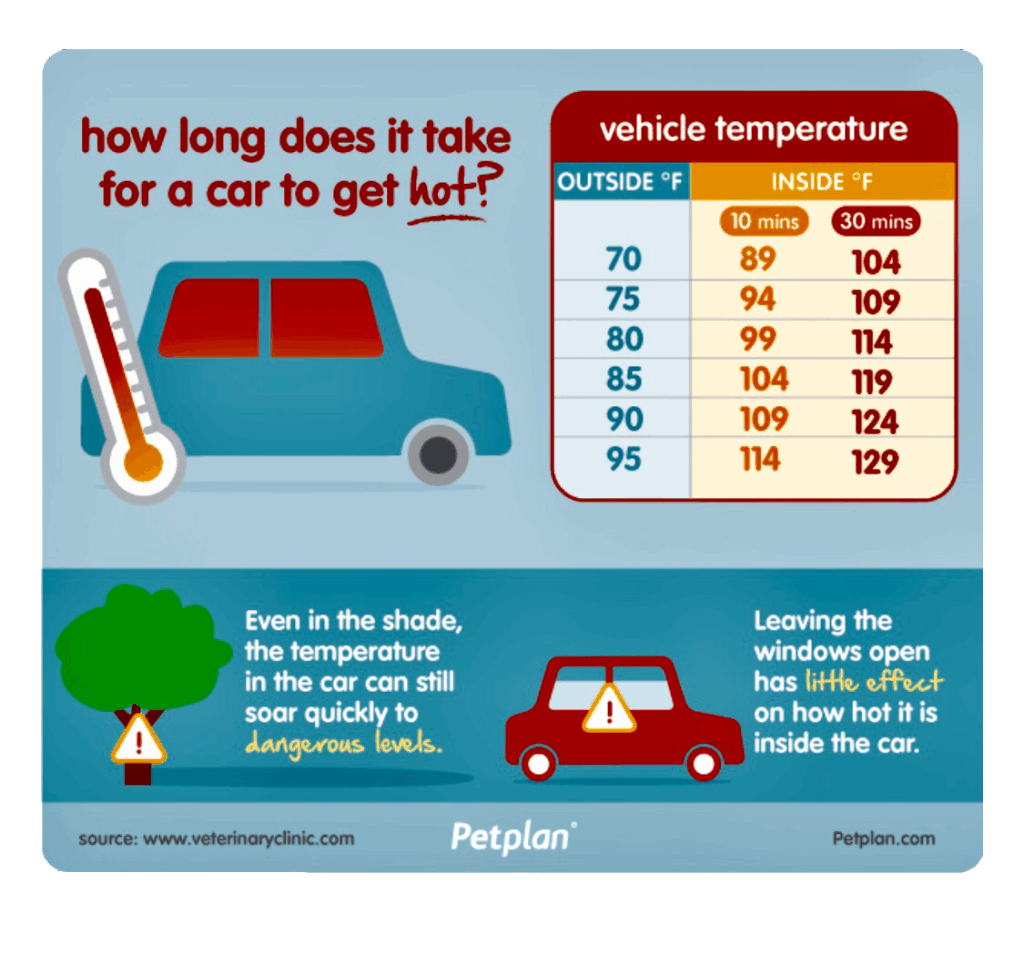 The Summer Trick You Need to Know: Mathematician Reveals How to Beat Extreme Car Heat in Record Time! 3 Greenhouse Effect Inside a Car