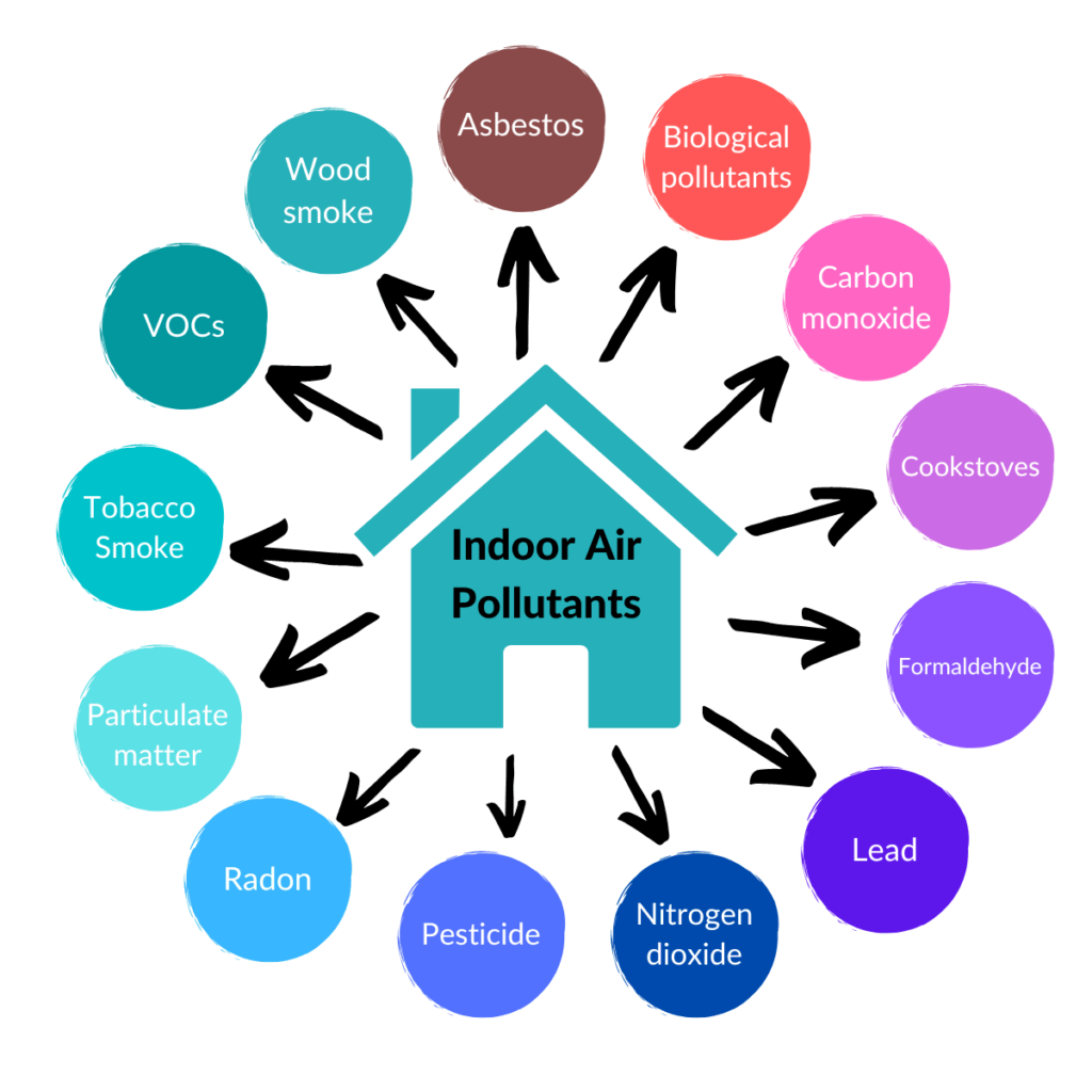 Revealed by NASA: How One Simple Houseplant Can Eliminate Dangerous Toxins from Your Air! 3 Indoor Air Pollutants