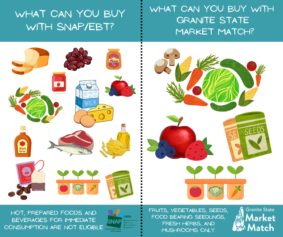 SNAP Benefits Changes: These States Are Now Blocking the Purchase of Specific Foods—Find Out Which Ones 4 List of SNAP Approved Foods
