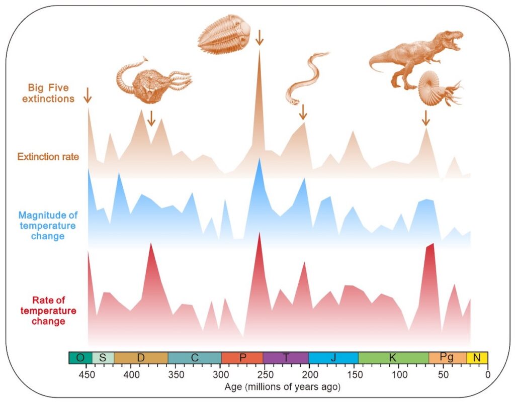 Mass Extinctions Timeline