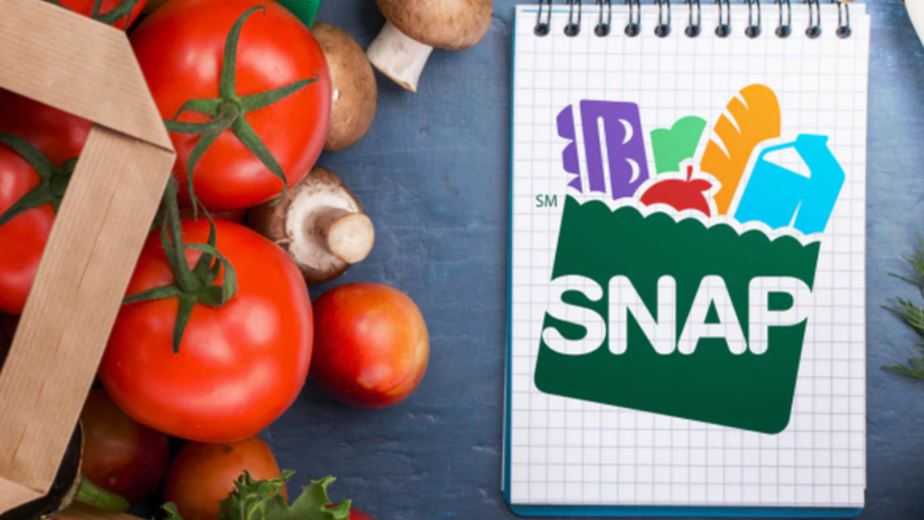 Thousands in South Carolina Could Lose SNAP Benefits Under GOP Medicaid Cuts 2 SNAP Logo