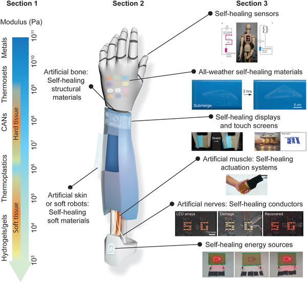 Self-Healing Materials and Components for Smart Robotics