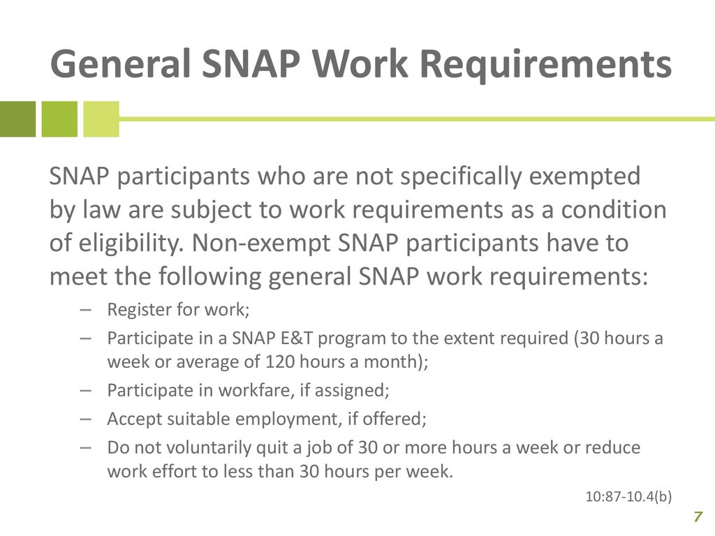 Georgia SNAP Benefits Slashed Under Trump’s Big Beautiful Bill Explained 4 Snap Work Requirements