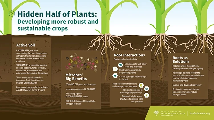 Soil Health