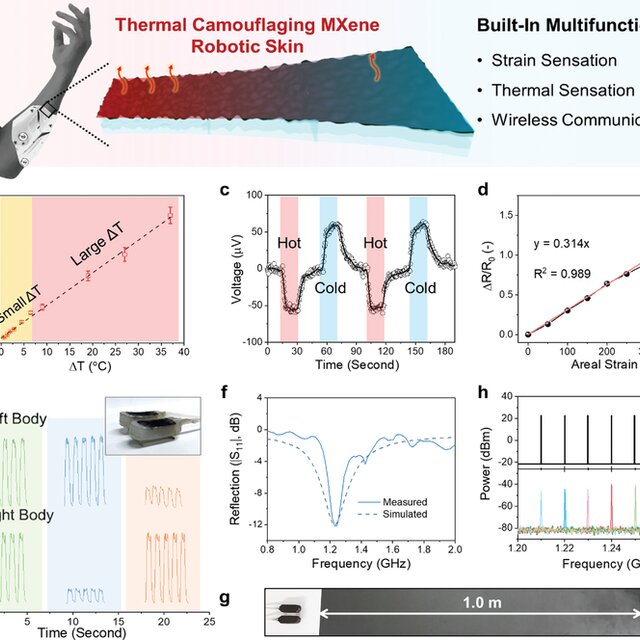 Thermal Camouflaging MXene Robotic Skin