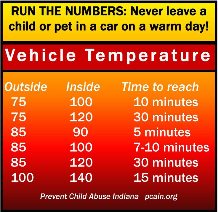 The Summer Trick You Need to Know: Mathematician Reveals How to Beat Extreme Car Heat in Record Time! 2 Vehicle Temperature