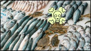Deadly Toxin Triggers Fish Recall Across U.S. — Stop Eating This Immediately