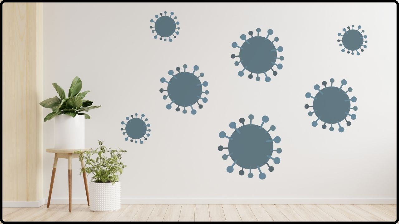 Revealed by NASA How One Simple Houseplant Can Eliminate Dangerous Toxins from Your Air!